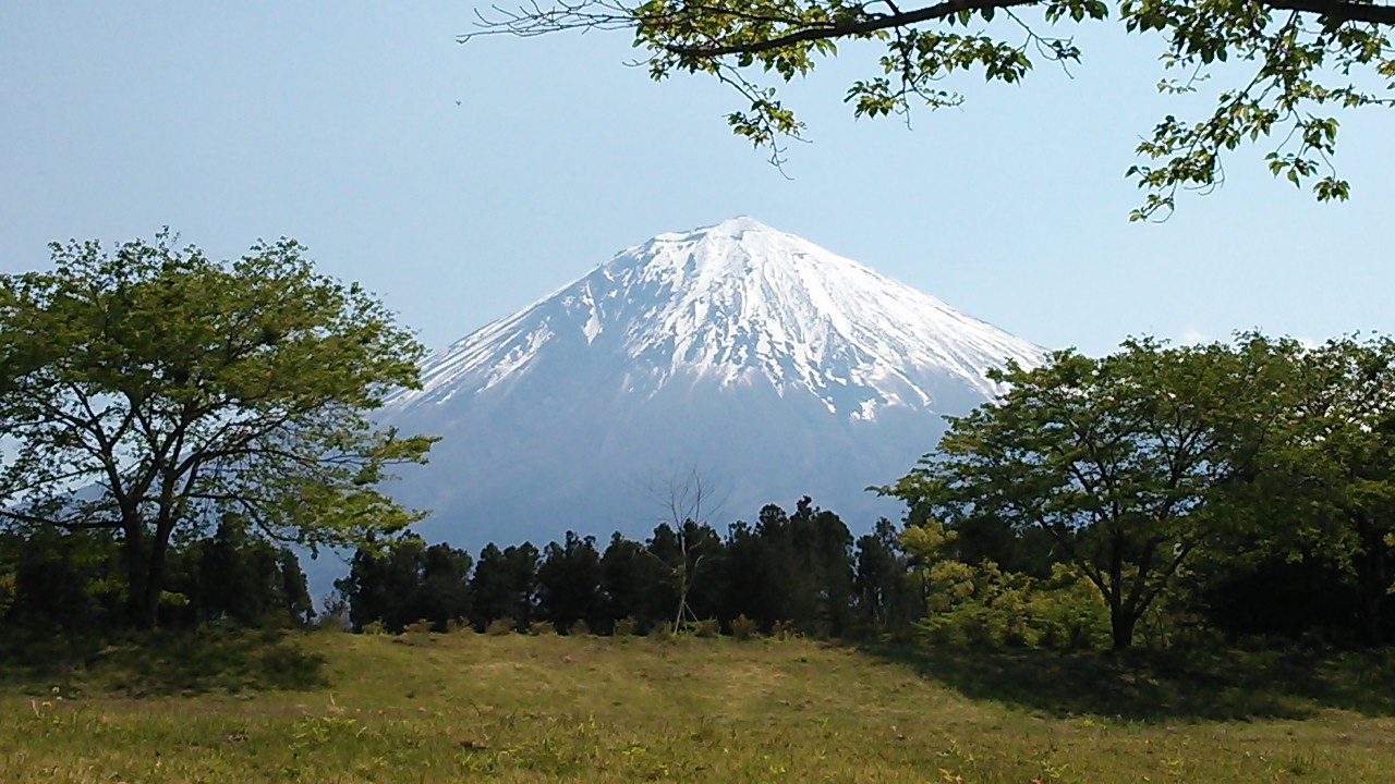 d0136540_3365995.jpg