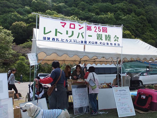 a0130451_8432810.jpg