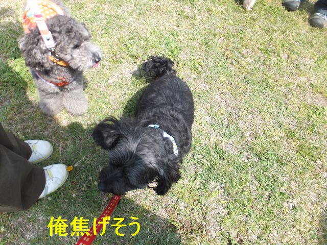 a0130451_8561577.jpg
