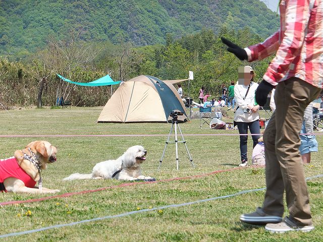 a0130451_981082.jpg