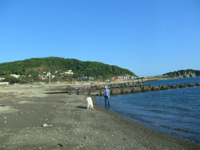 d0033151_2332338.jpg