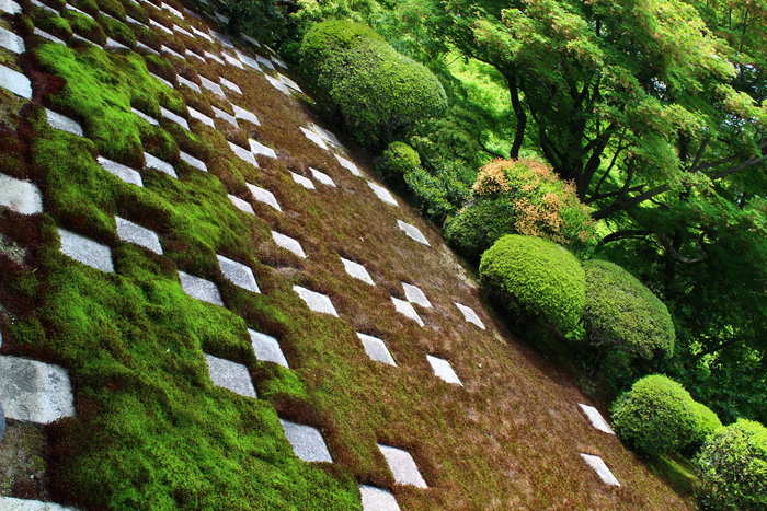 ＧＷ京都散歩　～方丈庭園～_e0232054_14232375.jpg