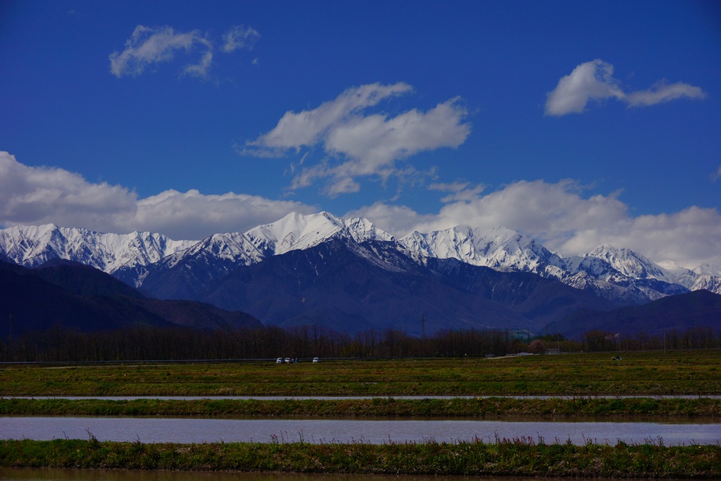 mountain & rice field（長野県安曇野市　アルプスと水田）_e0223456_11163411.jpg