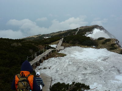 大山に挑戦_b0165358_1972274.jpg