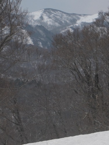 c0294658_829781.jpg