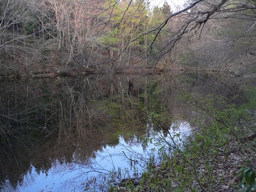 c0294658_859192.jpg