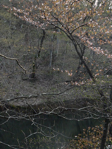 c0294658_945748.jpg