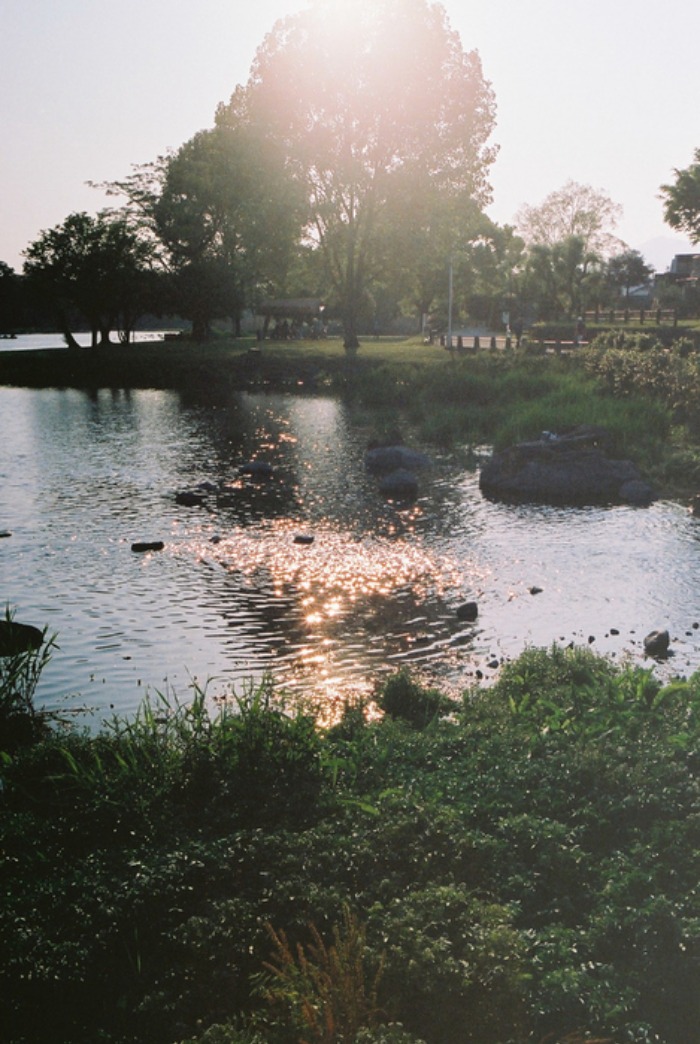 e0264158_17323025.jpg