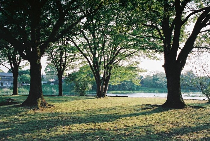 e0264158_17401346.jpg