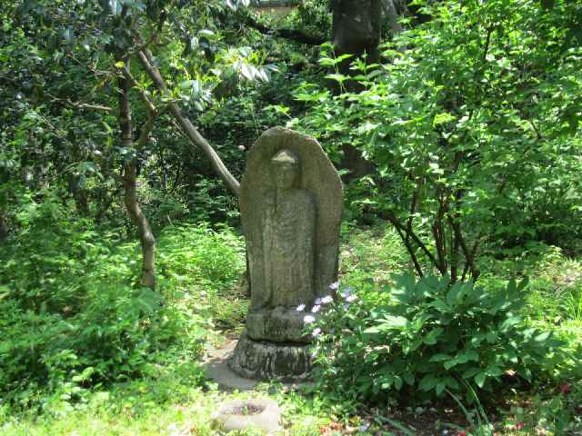 【つつじが美しい旧白洲邸「武相荘」】_c0042960_15401134.jpg