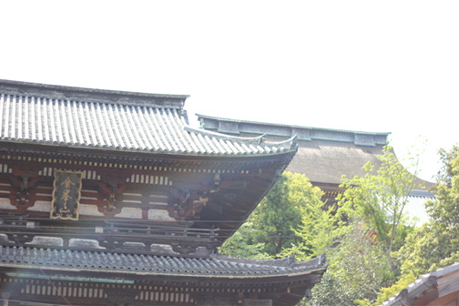 吉野/金峯山寺_e0201060_19531244.jpg