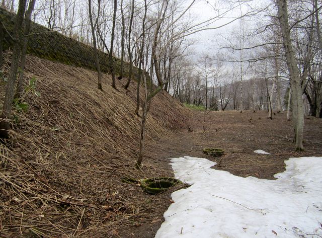 c0023862_20374880.jpg