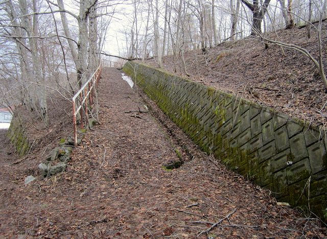 c0023862_20394290.jpg