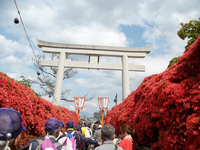 ＧＷ基地ウオーク④長岡天神つつじ観賞コース_b0044663_3562938.jpg