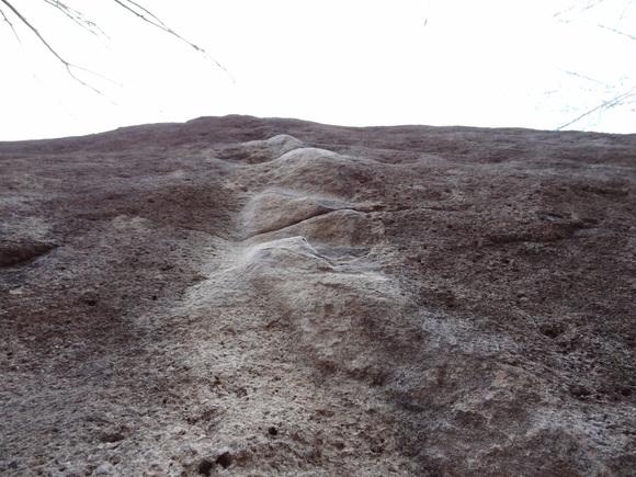 c0245666_21404812.jpg
