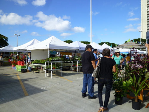 Ara moana Farmers\' Marketを散策＠ハワイでごはん2012秋_c0152767_18365095.jpg