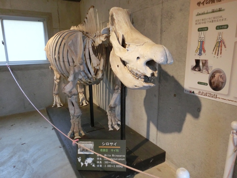 和歌山a W のサイ解説 ごきげんよう 犀たち 和歌山a W のサイ解説 ごきげんよう 犀たち