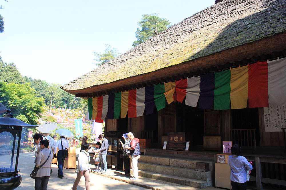 東国花の寺百ヶ寺巡り２_c0007169_14591590.jpg