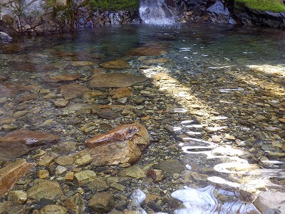 f0057070_22495750.jpg