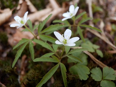 f0057070_225167.jpg