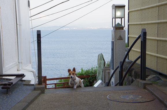 モイと江の島②_d0228072_173127.jpg