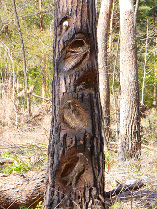 e0198877_15174100.png