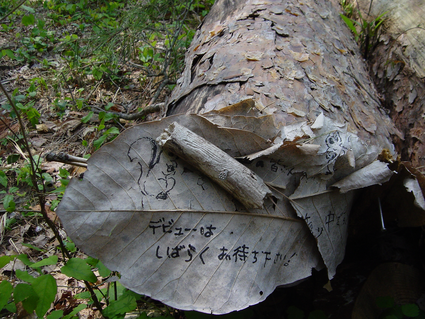 e0198877_1528262.png