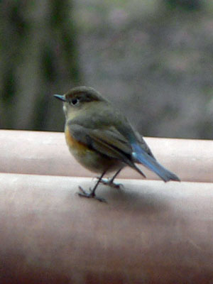 f0083977_921461.jpg