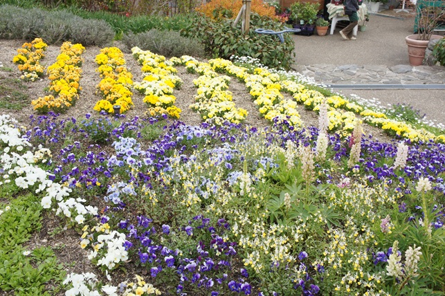c0163878_10382118.jpg