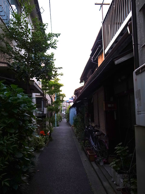 d0031378_1519258.jpg