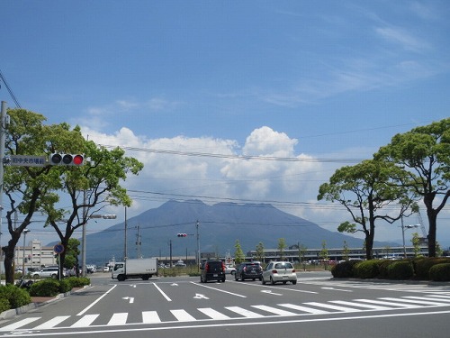 太古の大自然、屋久島へ_d0163482_2033559.jpg