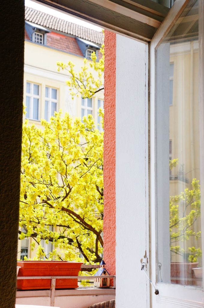 Guten Morgen Berlin ! ベルリンに帰ってきました。_c0180686_19551173.jpg