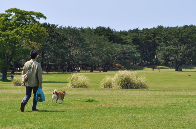 ネモフィラの丘2013②_a0126590_0112181.jpg