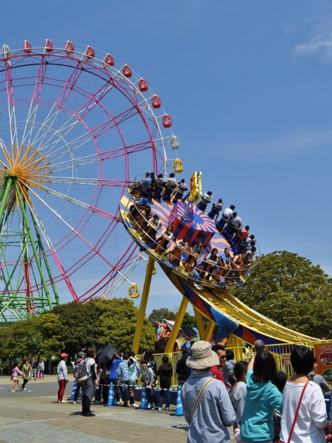 ネモフィラの丘2013③_a0126590_2129861.jpg
