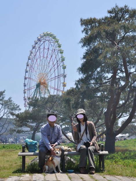 ネモフィラの丘2013③_a0126590_2219415.jpg