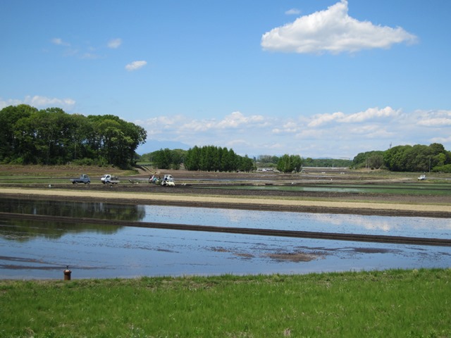 b0189200_11441714.jpg