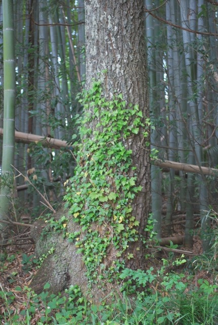 e0025300_14512637.jpg