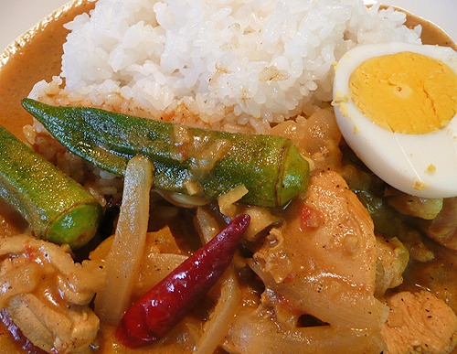 スパイスの効いたインドカレー風_b0014003_17114777.jpg