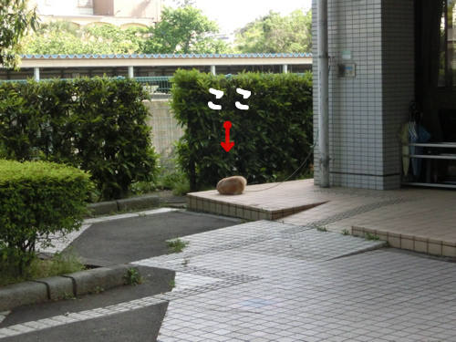 a0285205_11574650.png
