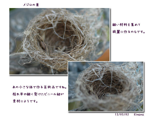 連休は!_c0051105_10165814.jpg