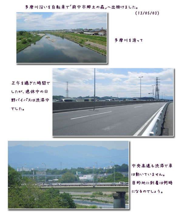 連休は!_c0051105_111598.jpg