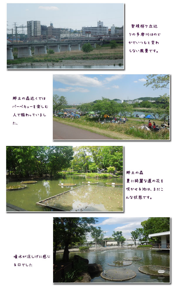 連休は!_c0051105_1134765.jpg