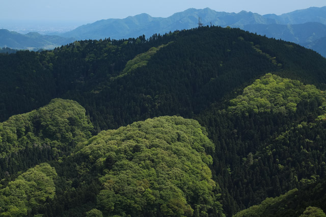 北高尾から逆沢ノ頭、景信山　B写真_d0279705_22142223.jpg