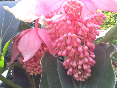 c0032212_18453475.jpg