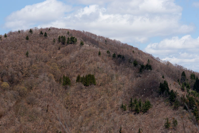 a0278914_14245629.jpg