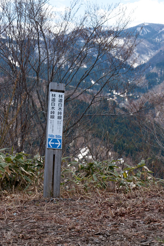 a0278914_1425836.jpg