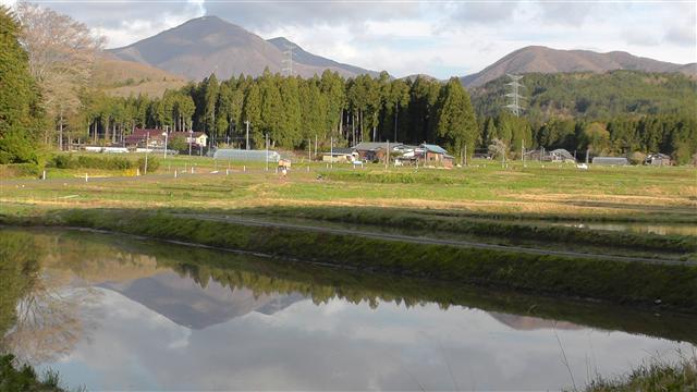 a0127015_614843.jpg