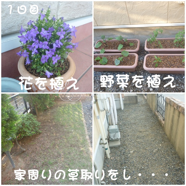 c0166622_8362285.jpg
