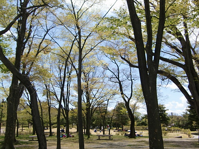 e0234924_16232072.jpg