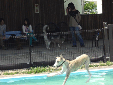 c0254426_7591525.gif